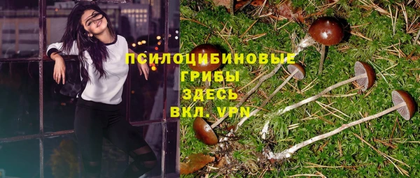 кокаин премиум Карпинск
